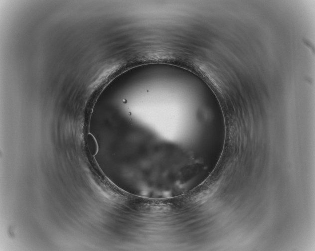 X0000096200443200801251016