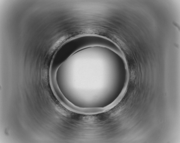 X0000096200444200801251016