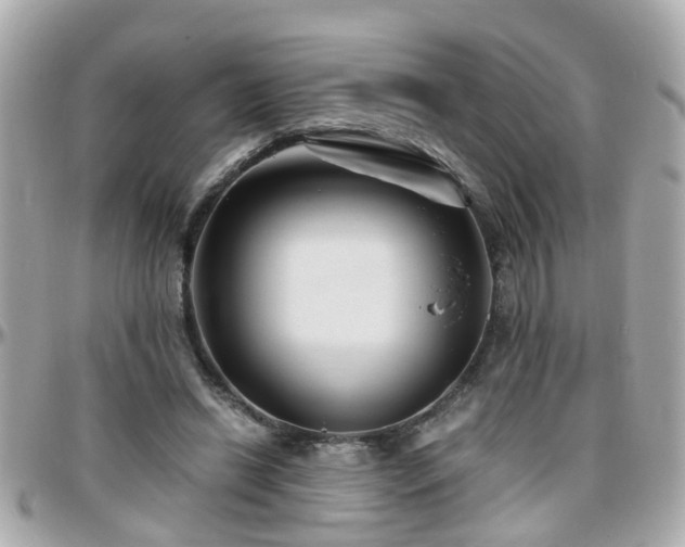 X0000096200446200801251016