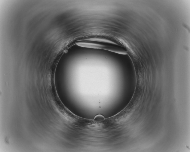 X0000096200447200801251016