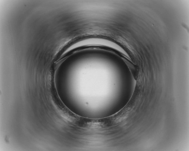 X0000096200448200801251016