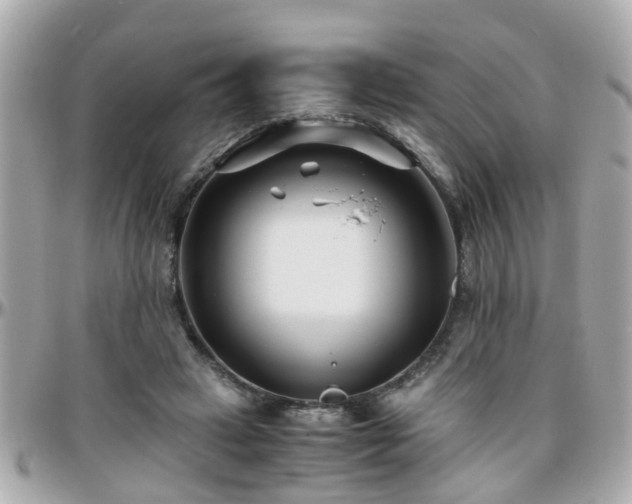 X0000096200449200801251016