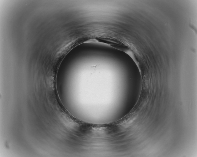 X0000096200450200801251016