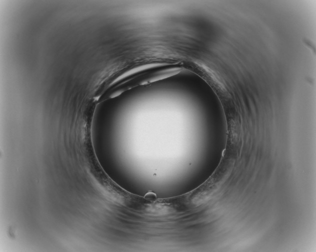 X0000096200451200801251016