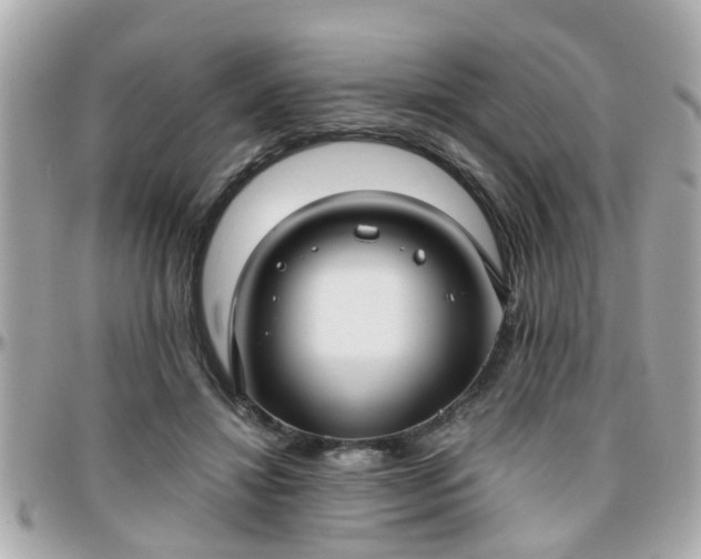 X0000096200452200801251016