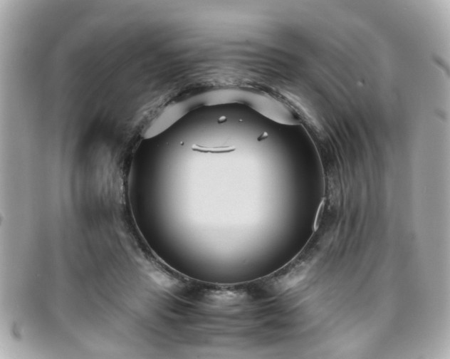 X0000096200453200801251016