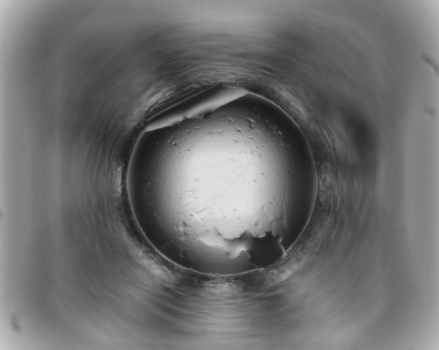 X0000096200454200801251016