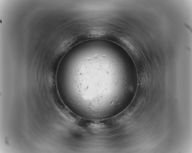 X0000096200455200801251016