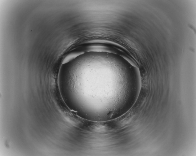 X0000096200456200801251016