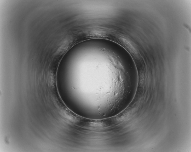 X0000096200457200801251016