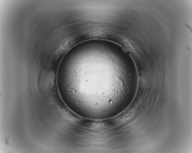 X0000096200458200801251016