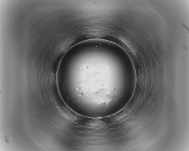 X0000096200459200801251016