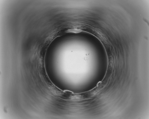 X0000096200461200801251016