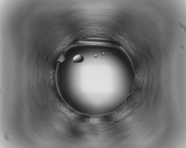 X0000096200462200801251016