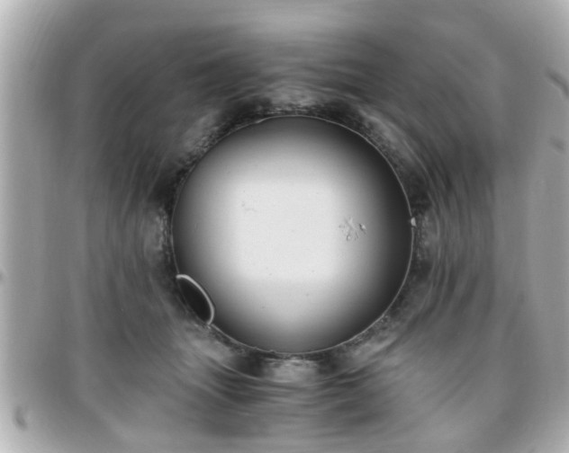 X0000096200463200801251016