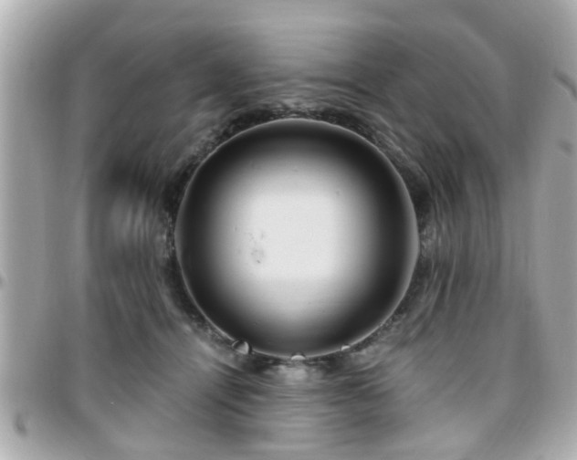 X0000096200464200801251016