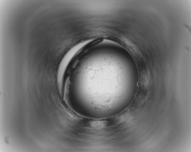 X0000096200465200801251016