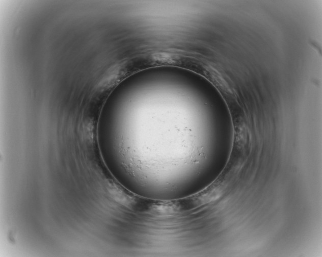 X0000096200466200801251016