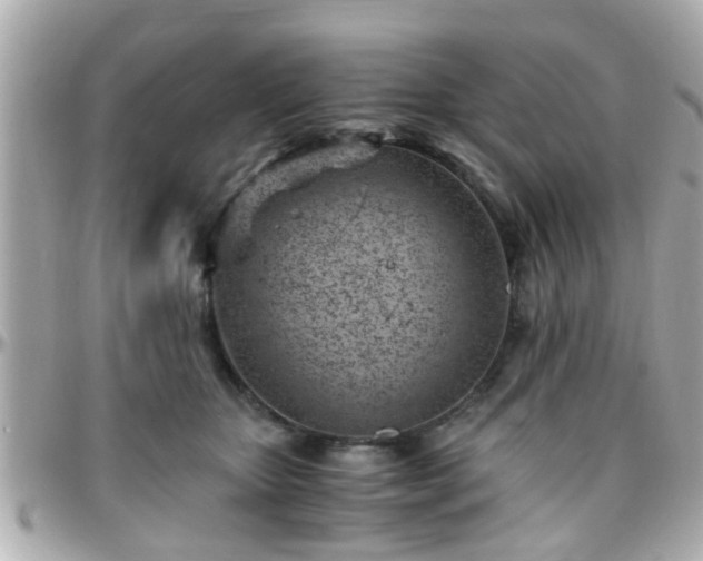 X0000096200467200801251016