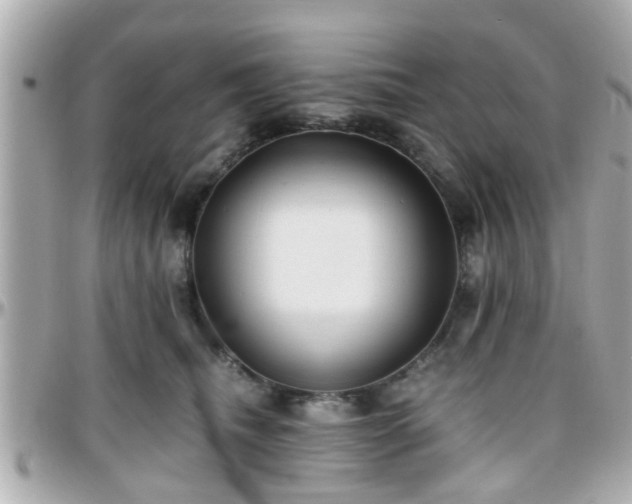 X0000096200468200801251016