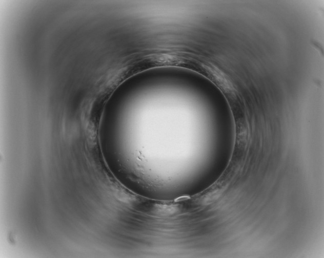 X0000096200469200801251016