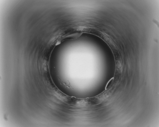 X0000096200470200801251016