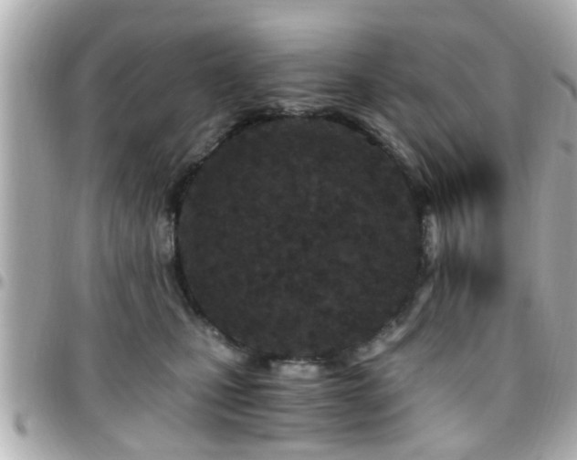 X0000096200471200801251016