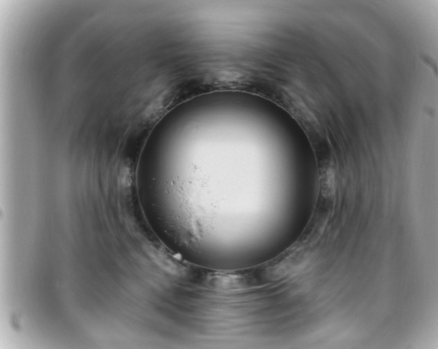 X0000096200472200801251016