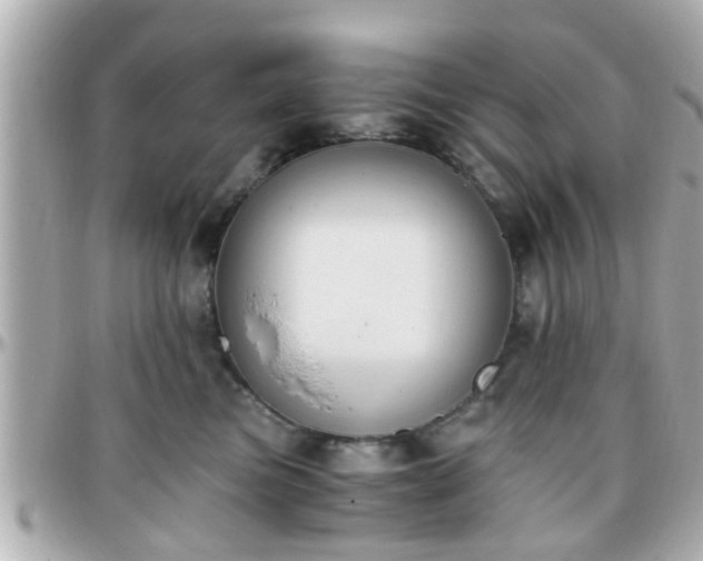 X0000096200473200801251016