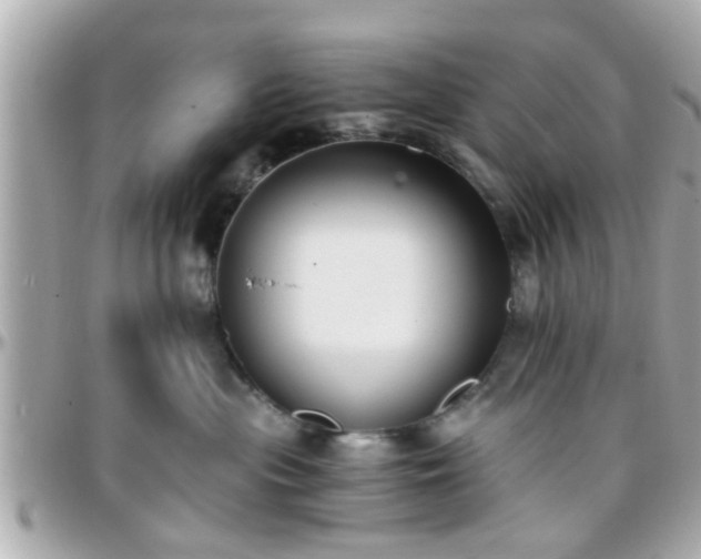 X0000096200477200801251016