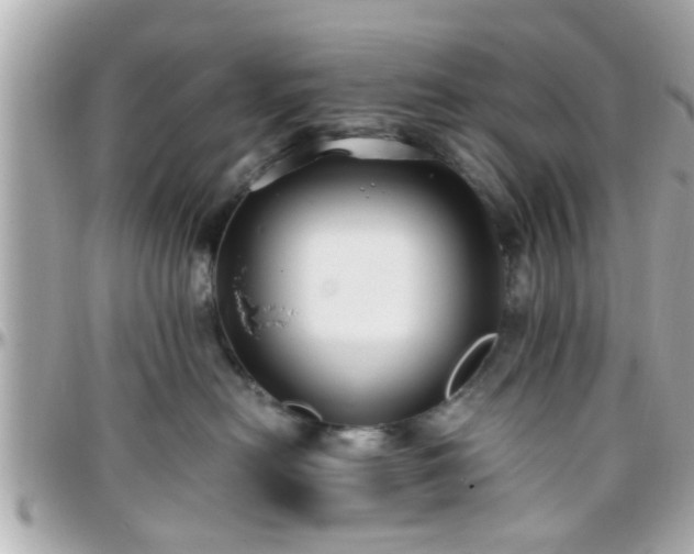 X0000096200478200801251016