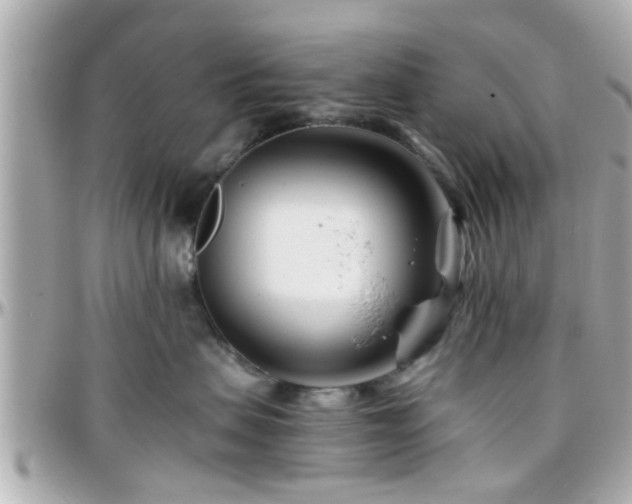 X0000096200479200801251016