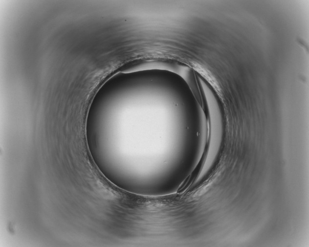 X0000096200481200801251016