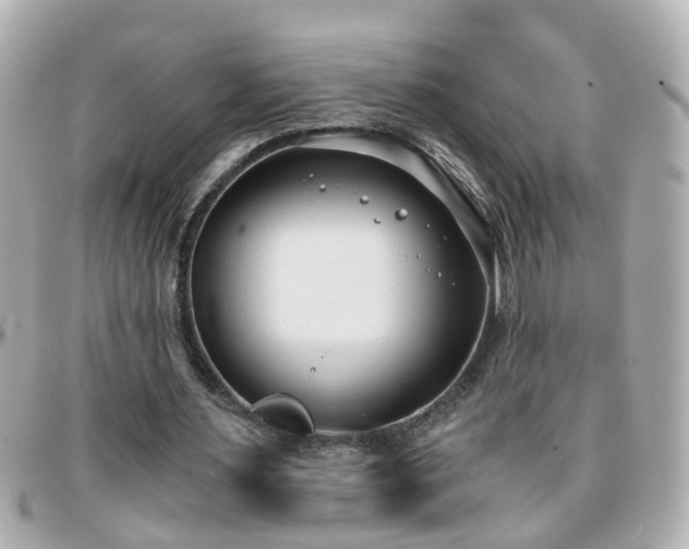 X0000096200483200801251016