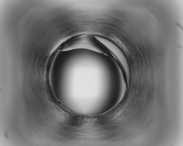 X0000096200484200801251016