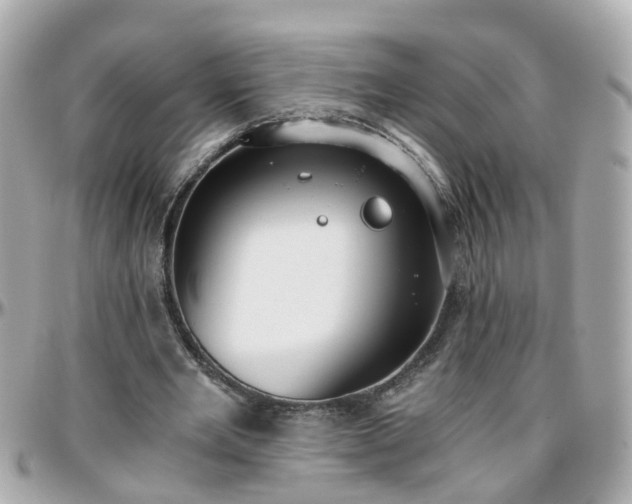 X0000096200485200801251016