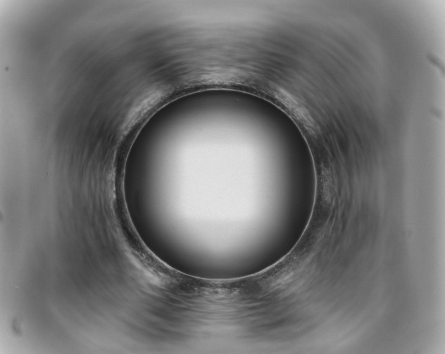 X0000096200486200801251016