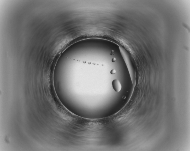 X0000096200487200801251016