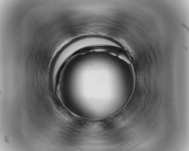 X0000096200488200801251016