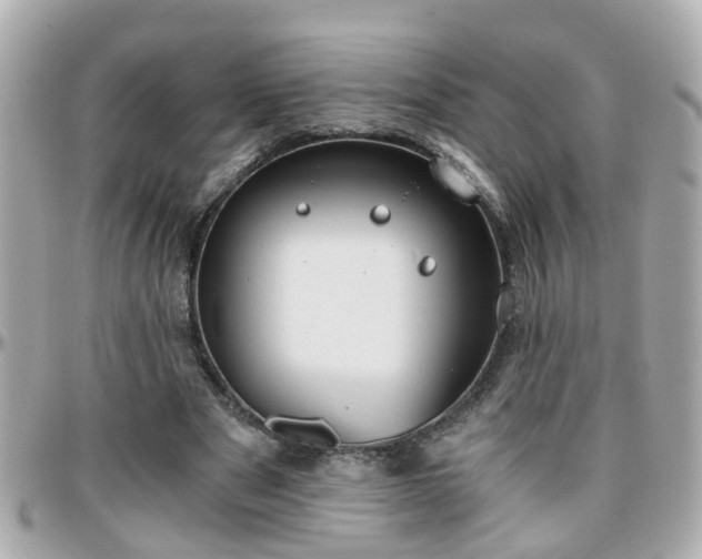 X0000096200489200801251016