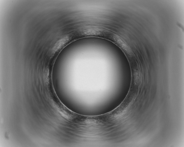 X0000096200490200801251016