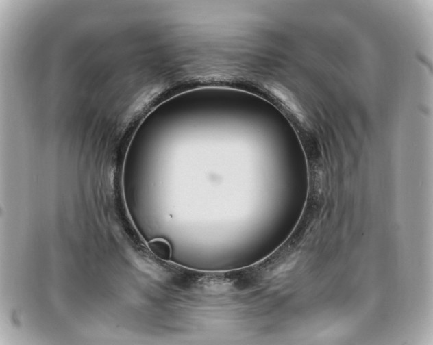 X0000096200491200801251016