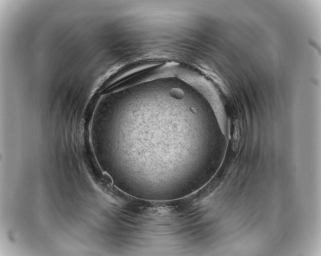 X0000096200492200801251016