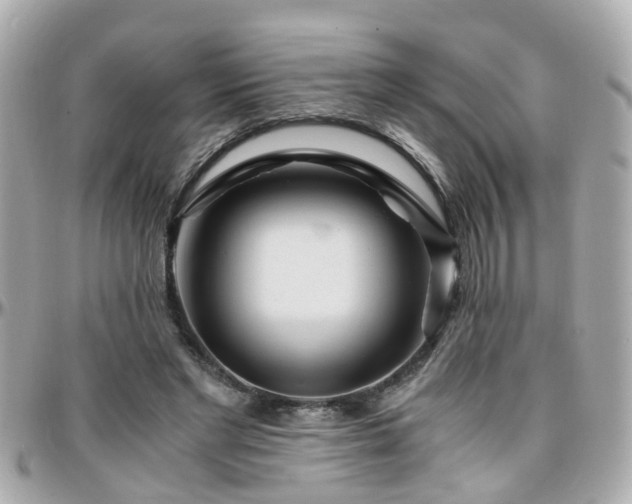 X0000096200493200801251016