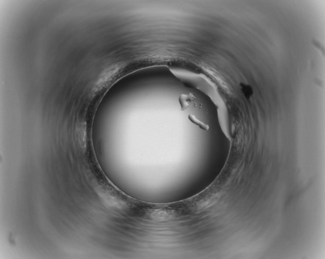 X0000096200494200801251016