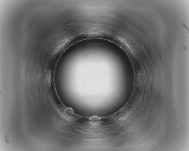 X0000096200495200801251016