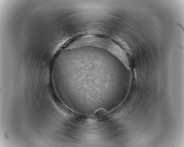 X0000096200496200801251016