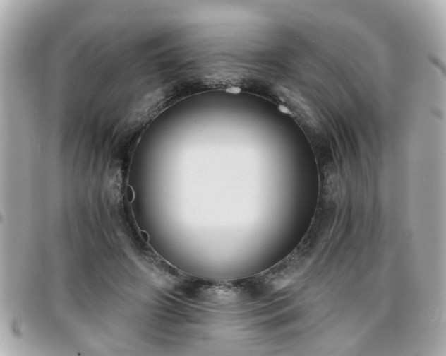 X0000096200498200801251016