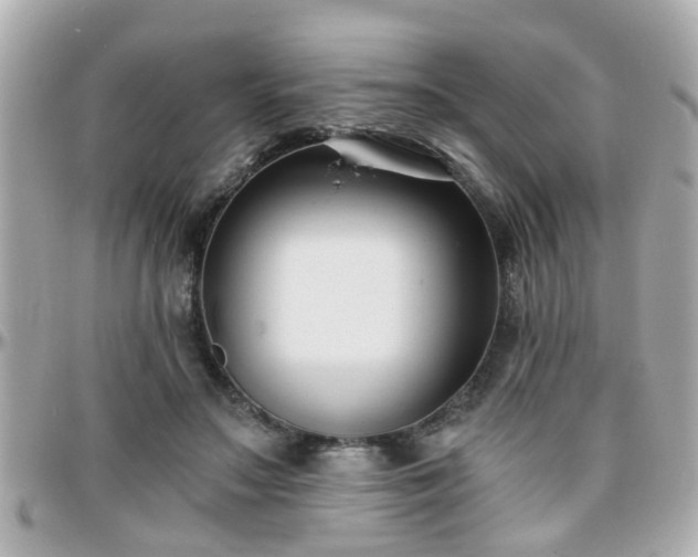 X0000096200499200801251015