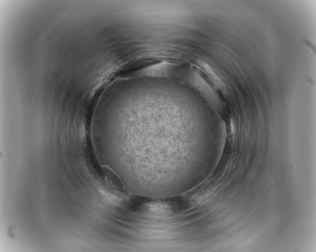 X0000096200500200801251015